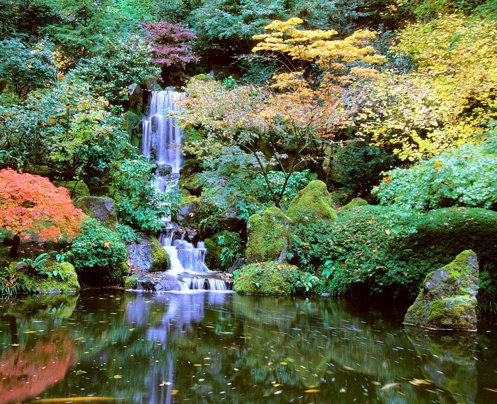 AA_Parks_JapaneseGarden_14_courtesy_JapaneseGarden_DavidMCobb1 – 43 ...